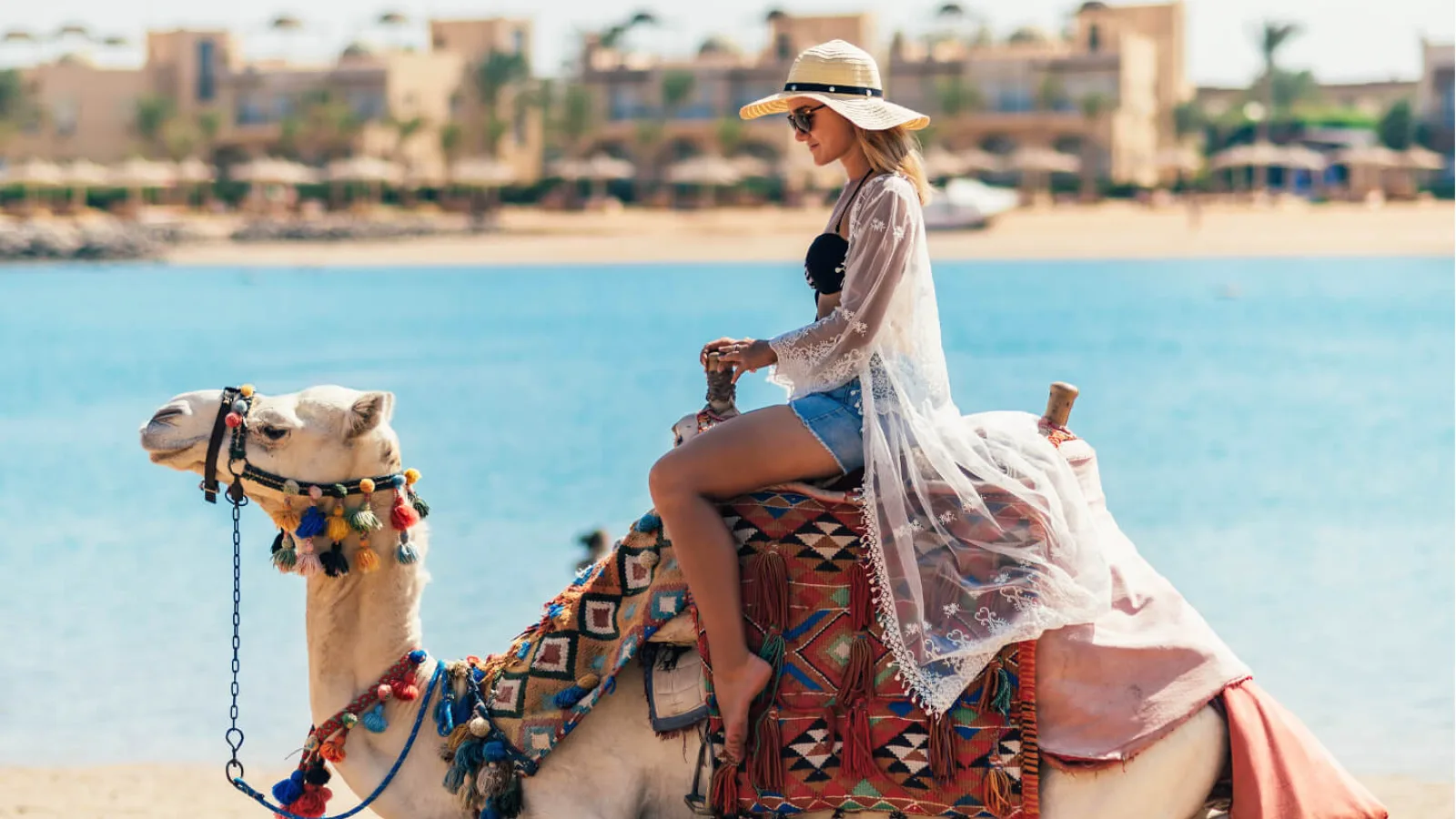 is an Egyptian resort town between the desert of the Sinai Peninsula and the Red Sea.