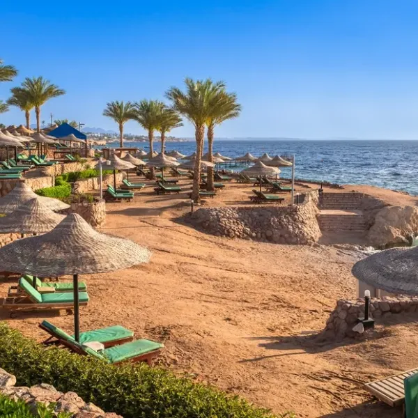 The Best Things to Do in Sharm El Sheikh (2026 Local Guide)