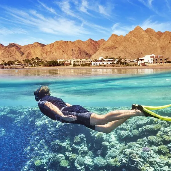 Discover the Best Scuba Diving Spots in the Red Sea