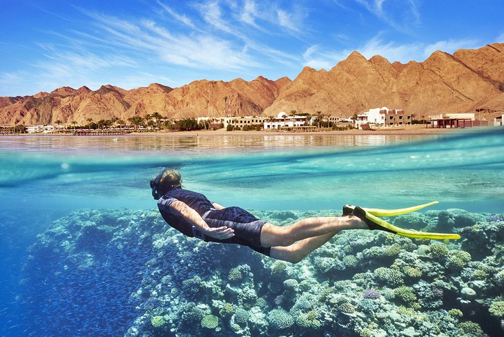 Discover the Best Scuba Diving Spots in the Red Sea