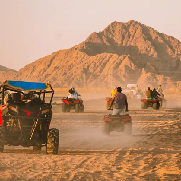 An action-packed tour of Egypt's vast desert, where survival challenges and ancient secrets