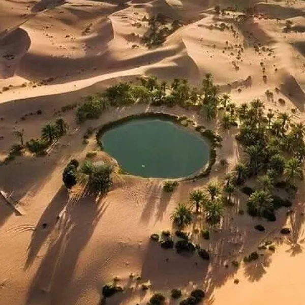 Best activities and things to do in Bahariya Oasis