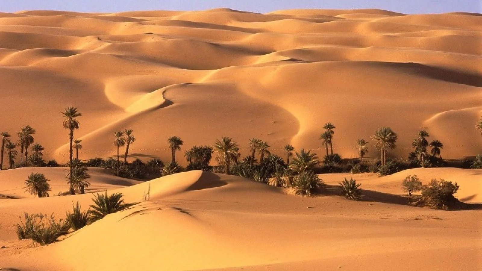 Best activities and things to do in Bahariya Oasis