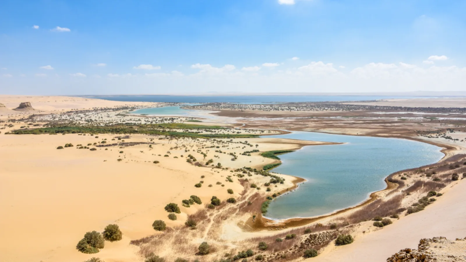 Fayoum Safari Activities in Egypt
