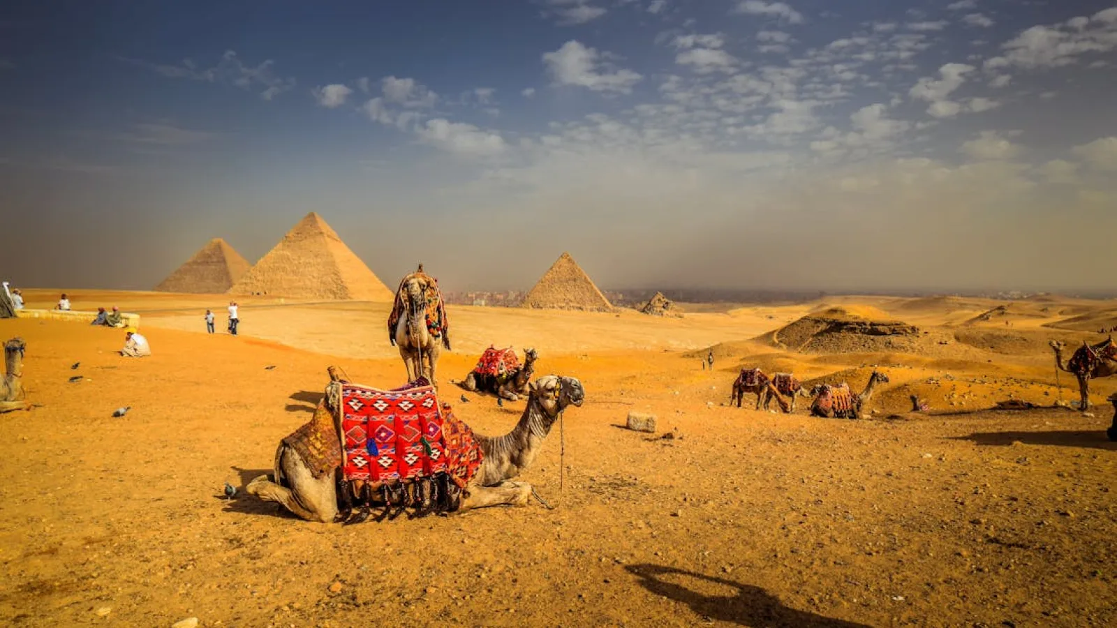 Uncover Egypt’s Ancient Wonders with Classic Guided Tours