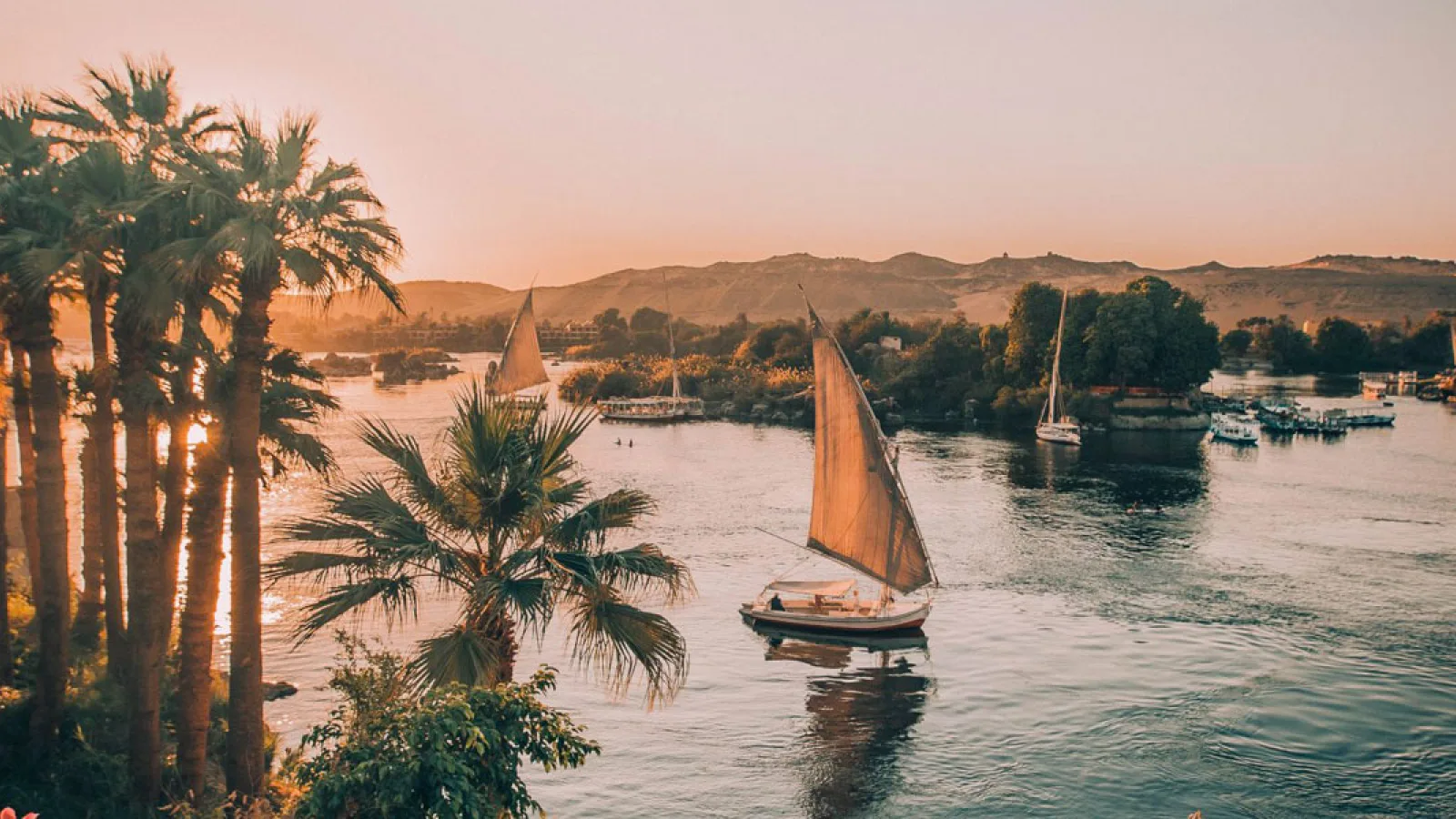 Discover the magic of Aswan on a captivating day tour.