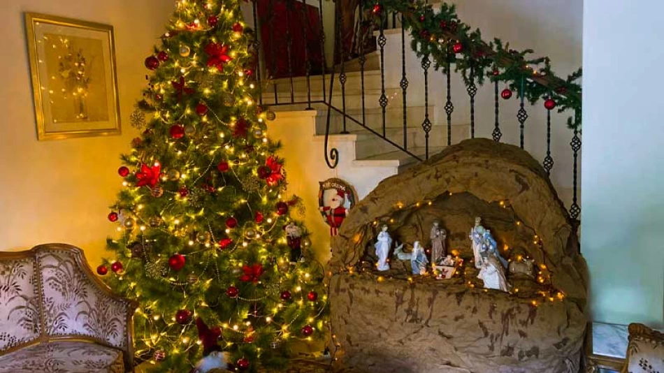 Egypt Christmas Packages