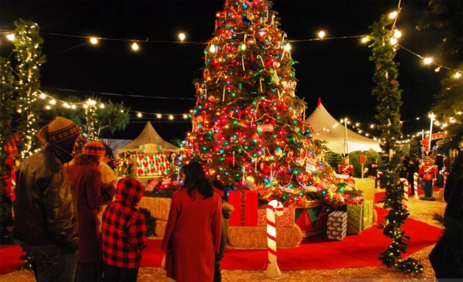 A Festive Escape: 5-Day Christmas and New Year Cruise in Egypt