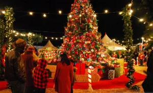 5-Day Christmas Nile Cruise Egypt 2025-2026