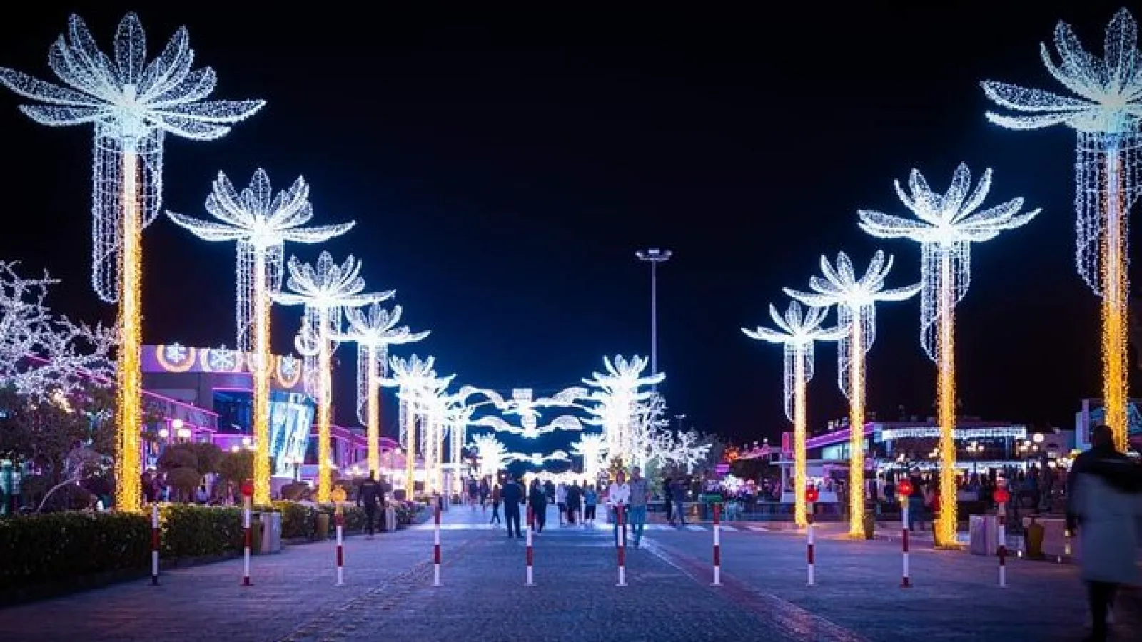 Explor your Dream Christmas Holiday in Sharm El Sheikh