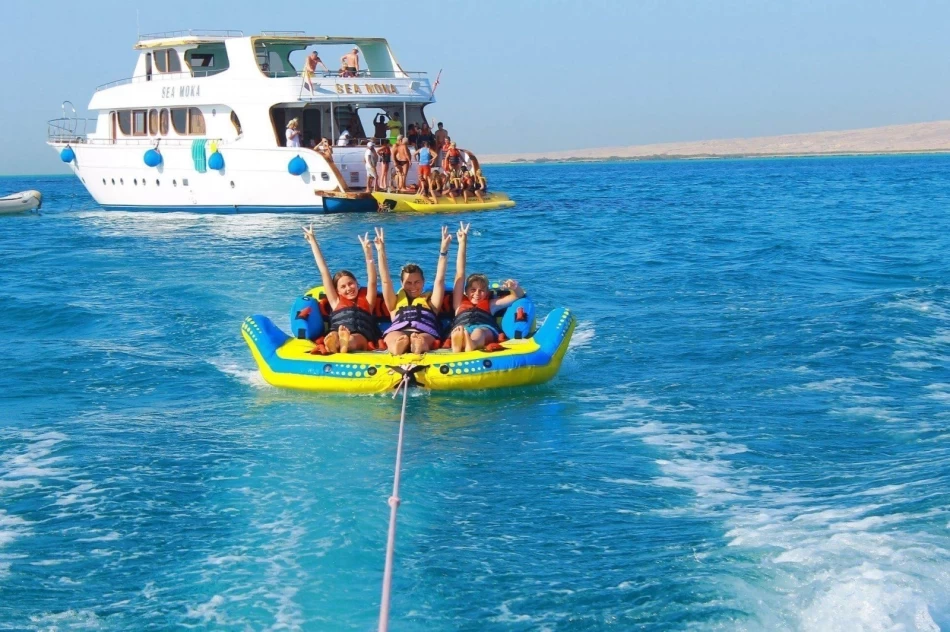 Where Your Egypt Christmas Holiday Meets the Magic of the Red Sea