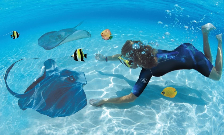 Dive into Christmas Joy: Snorkeling Adventures in Sharm El-Sheikh