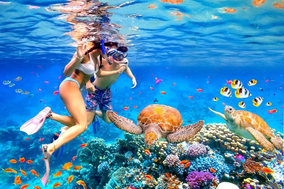 Add an Underwater Adventure to Your Egypt Christmas Tour