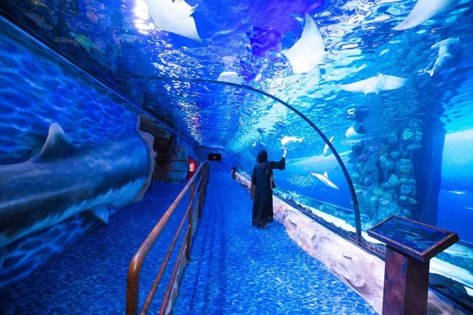 Watch Shark Feeding Shows Inside the Grand Aquarium Hurghada