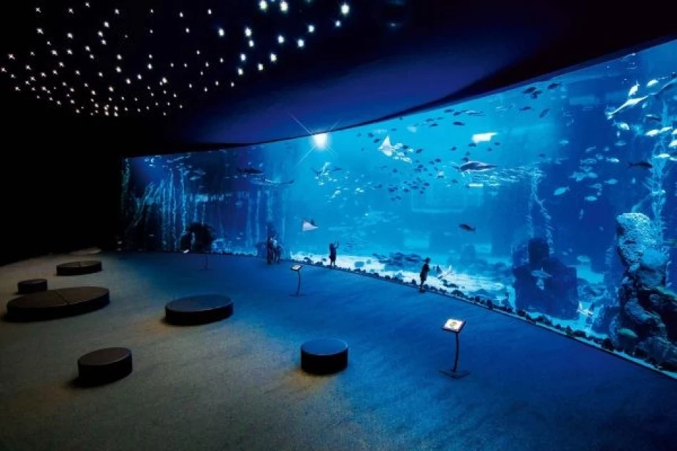 Inside the glass tunnel at Grand Aquarium Hurghada – underwater adventure