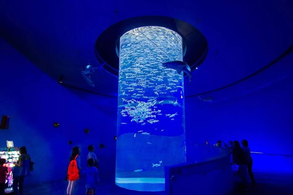 Grand Aquarium tour – one of the best Hurghada excursions for families