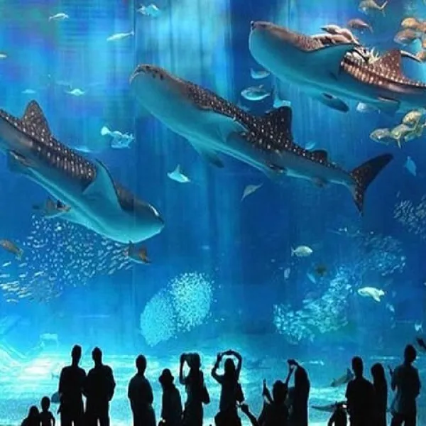 Hurghada Grand Aquarium: Tickets, Marine Zones & How to Visit (2026)