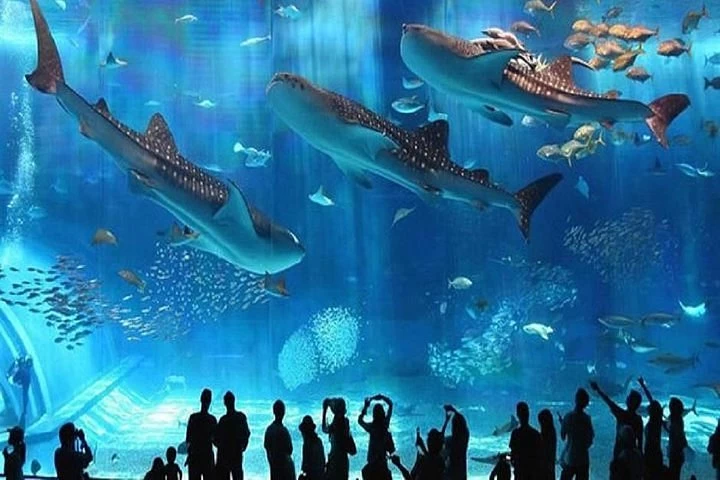 Hurghada Grand Aquarium