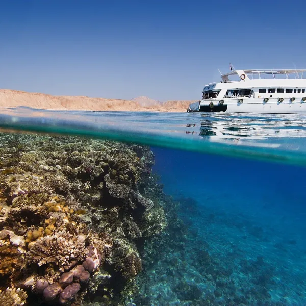 Tiran Island: Sharm el Sheikh's Best Snorkeling & Diving Day Trip (2026)