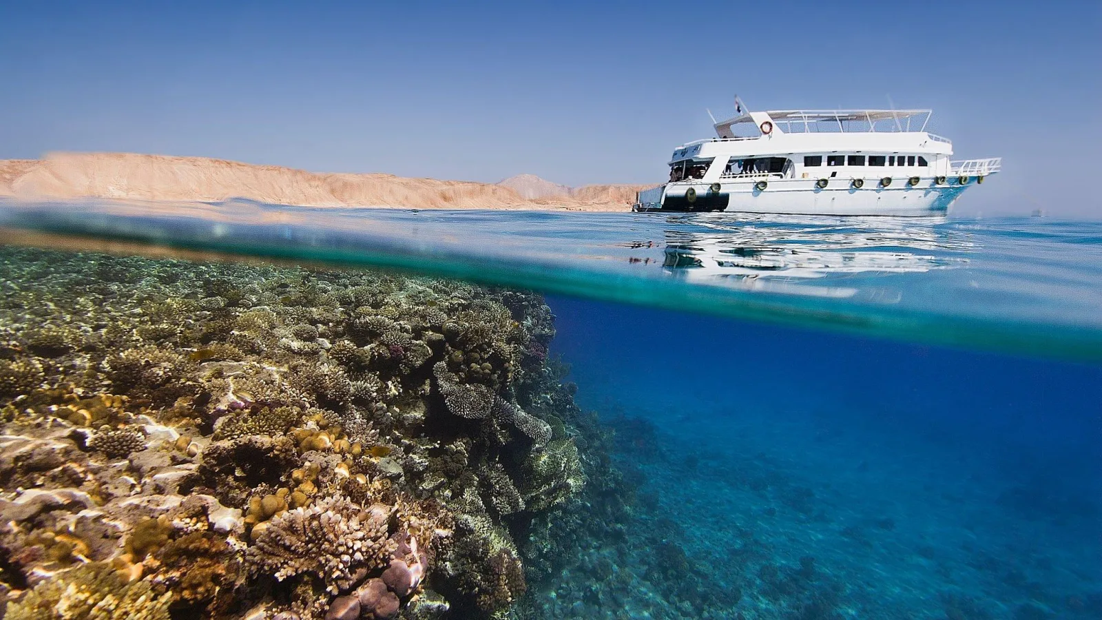 Tiran Island: Sharm el Sheikh's Best Snorkeling & Diving Day Trip (2026)