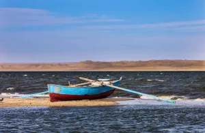 Wadi Elhitan & desert Safari tour from Cairo