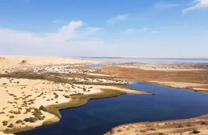 Wadi Elhitan & desert Safari tour from Cairo