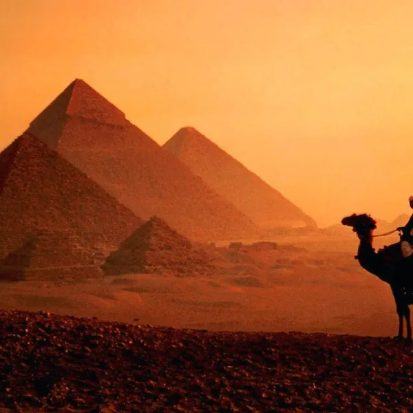 Discover Egypt in a Day: Unforgettable Egypt Day Tours Across the Country