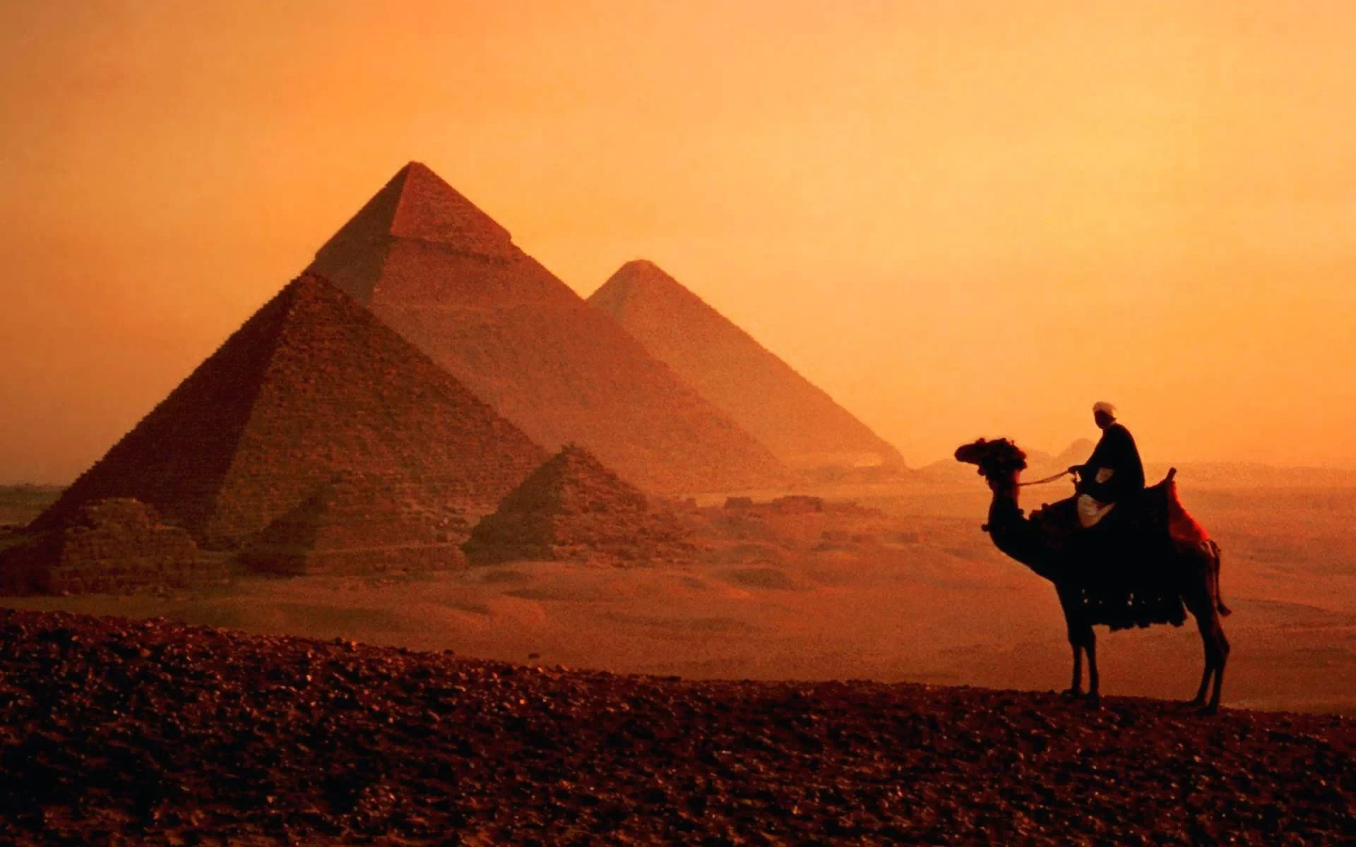 Discover Egypt in a Day: Unforgettable Egypt Day Tours Across the Country