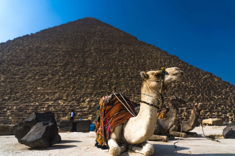Best tours to the Giza Pyramids