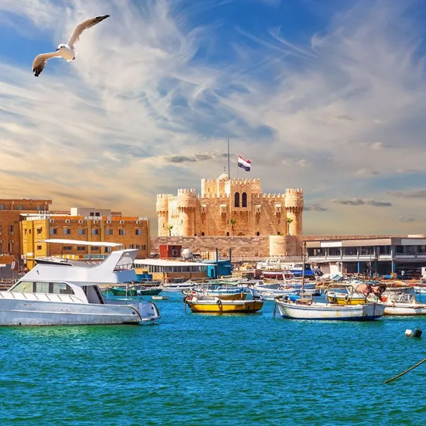 The Best Things to Do in Alexandria (2026 Local Guide)