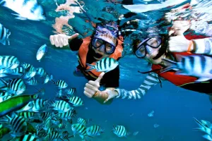 Snorkeling at Mahmya Island from Hurghada