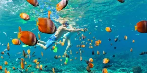 Snorkeling at Mahmya Island from Hurghada