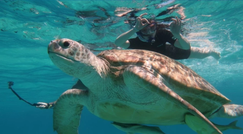 Sea life near Mahmya Island explored in Hurghada
