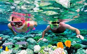 Snorkeling at Mahmya Island from Hurghada