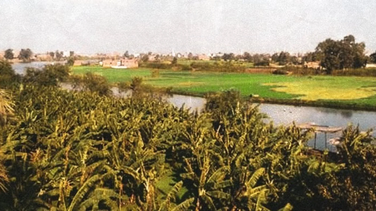 Luxor Banana Island with palm trees