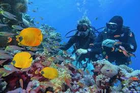 Scuba diving Sharm El Sheikh