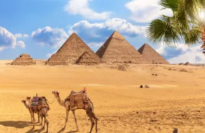 Cairo Day Tour to Giza Pyramids & Grand Egyptian Museum