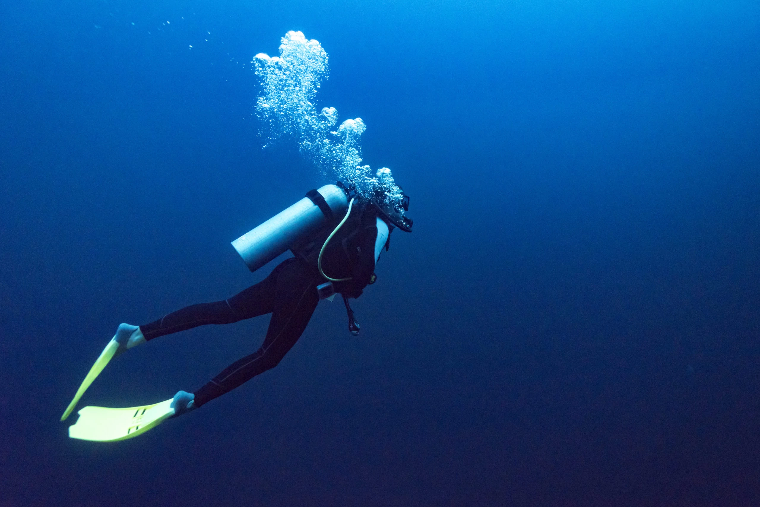 Explore the underwater world of the Red Sea with this group snorkeling and diving tour