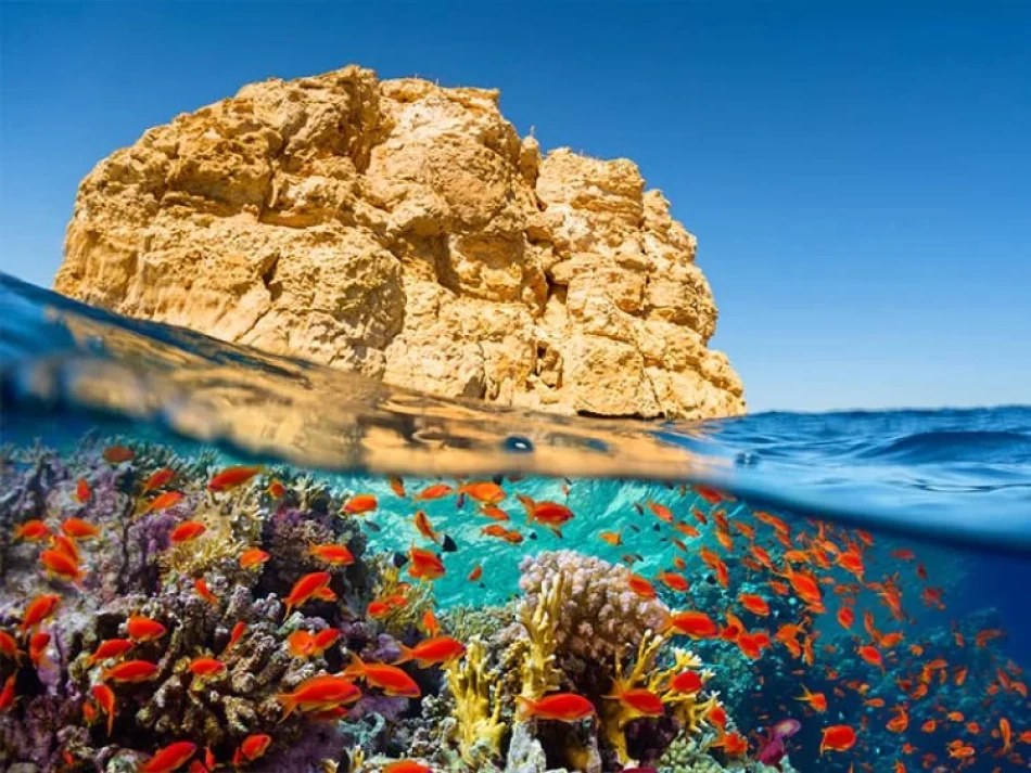 Ras Mohammed National Park, located at the southern tip of the Sinai Peninsula in Egypt