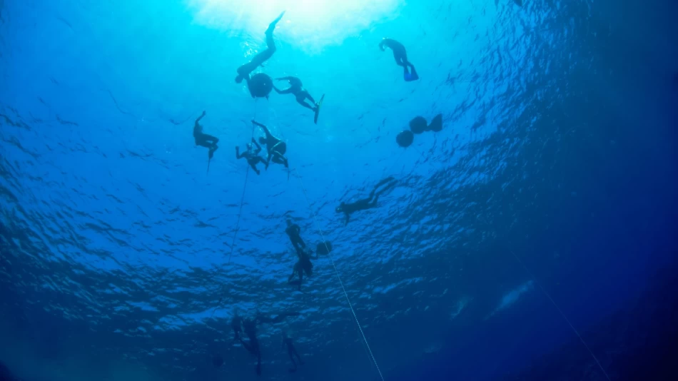 Explore the underwater world of the Red Sea with this group snorkeling and diving tour