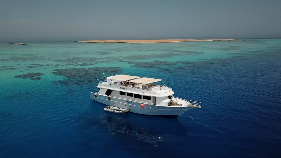 Explore the underwater world of the Red Sea with this group snorkeling and diving tour