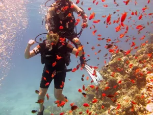 Scuba Diving Sharm El Sheikh