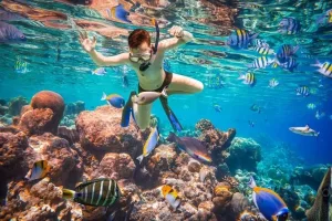 Snorkeling Adventure by Boat to Ras Mohammed