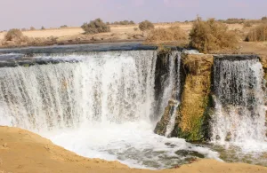 Cairo day tour to Fayoum