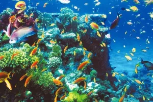 Dahab Safari with Blue Hole Snorkeling & Quad Biking