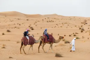 Abu Dhabi Desert Safari with BBQ Dinner, Camel Ride & Sandboarding