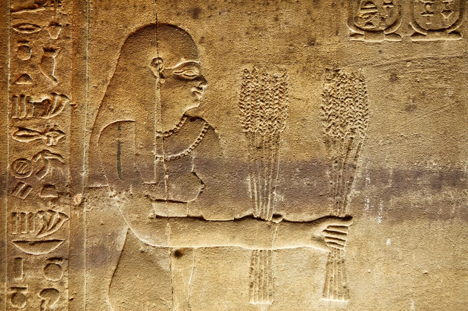 Intricate carvings and hieroglyphics on the inner walls of Edfu Temple