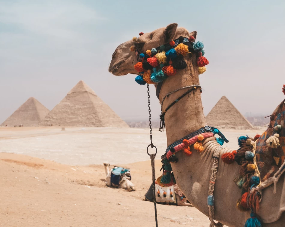 Camel Ride at the Giza Pyramids – Classic Egypt Experience
