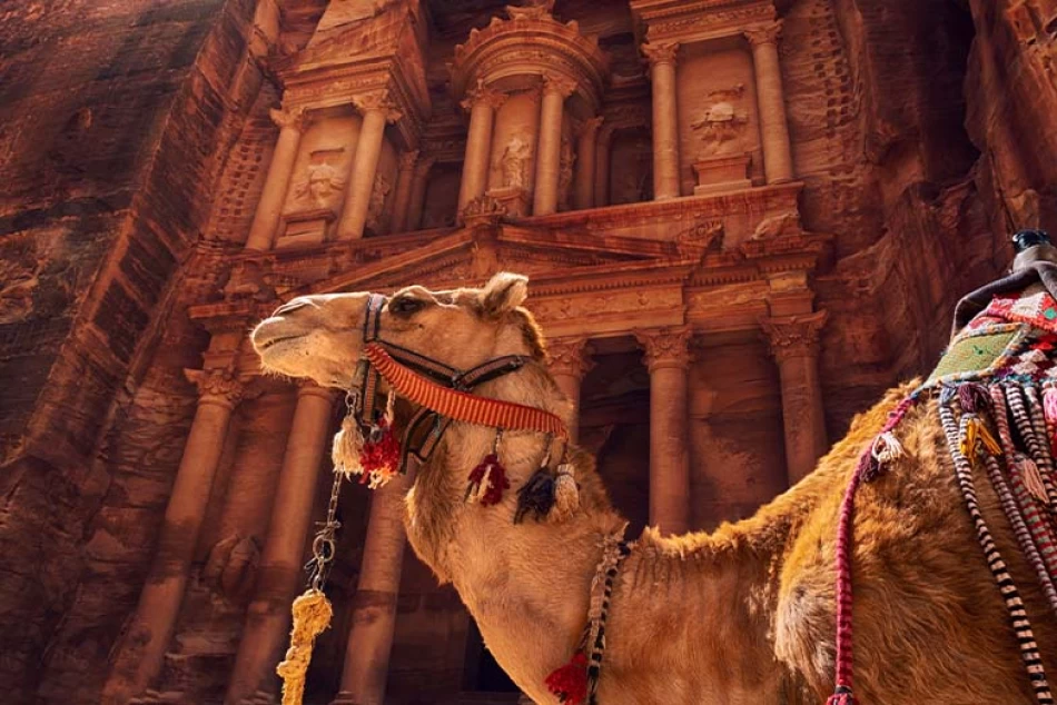 Camel standing in Petra with ancient rock carvings in the background
