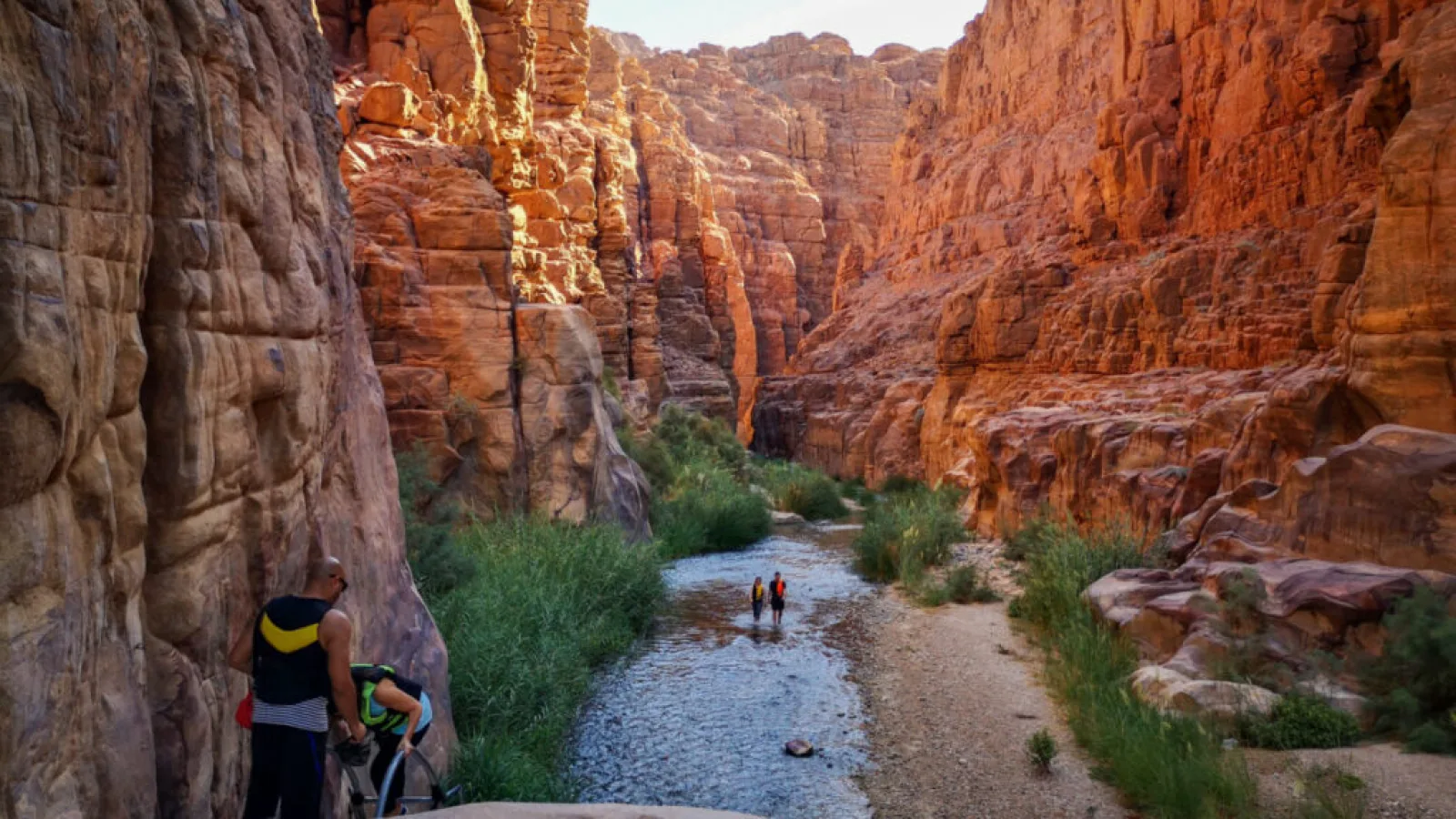 Wadi Al-Mujib